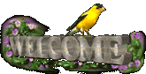 A gif of an American Goldfinch nodding on top of 3D text that reads 'Welcome'. The text has a stone texture and is surrounded by dark green leaves with pink flowers.
