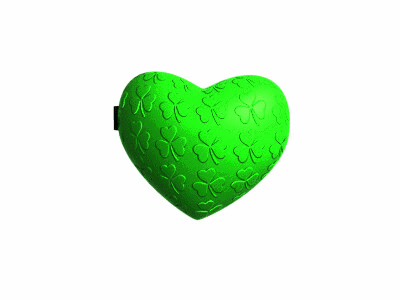 An animated gif of a green heart locket, it swings open to a picture of a kākāpō on the left and text on the right that reads: he's geen