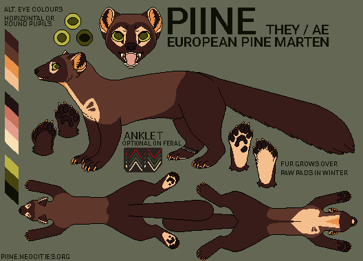 Digitally drawn reference of a pine marten character.